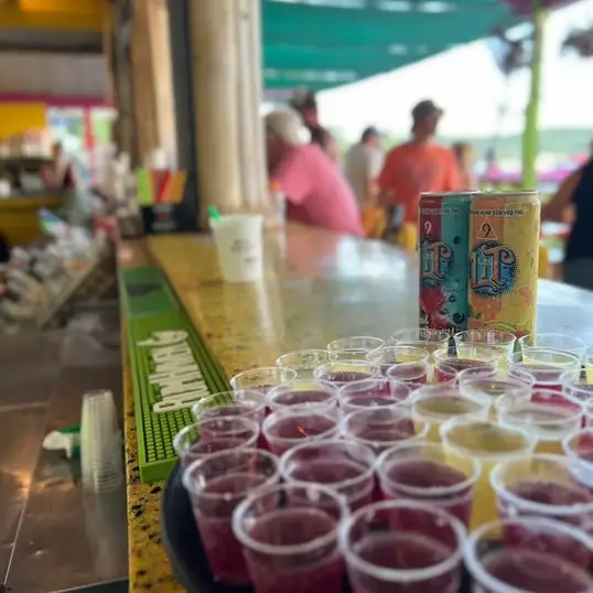 b85c1d_29761e22b3de43a5bbe8ef539bc2bb86~mv2